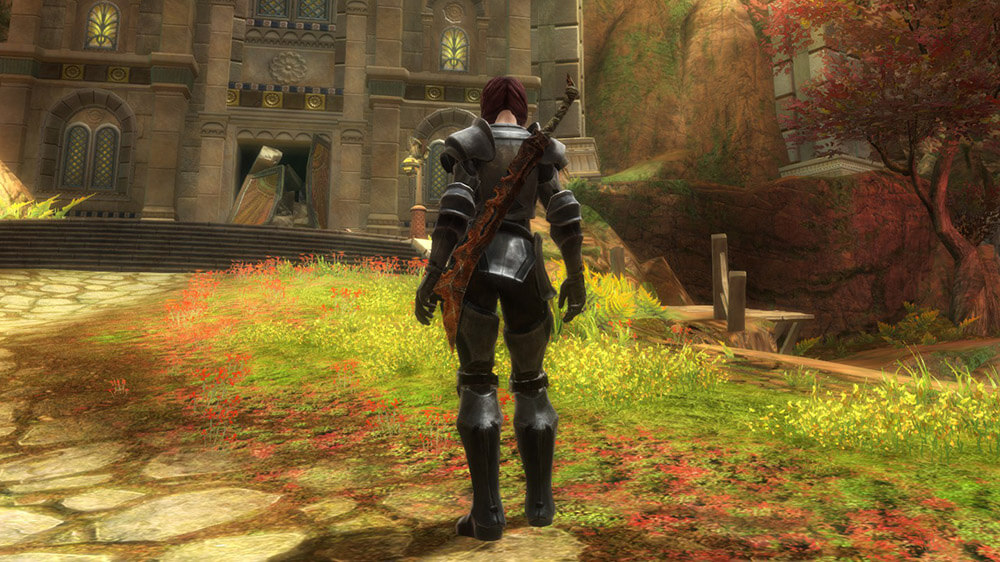 Разработчики Kingdoms of Amalur: Reckoning обещают отсутствие багов из демо в финальной версии на RPGNuke