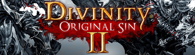 DIVINITY_OS_2_GHFDGDKHGJDFKG392489320423.jpg