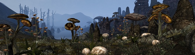 MORROWIND_LKSLDDG85354.jpg