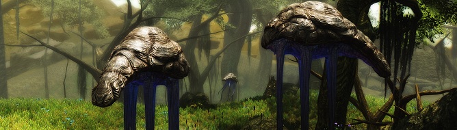 SKYWIND_83243984.jpg