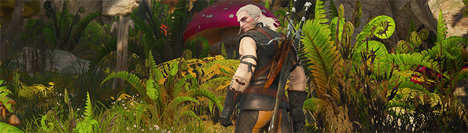 WITCHER_3_BLOOD_WINE_GSDHGHSDGDSJHGJDSGHJDSKJJGDS32829189123890123.jpg
