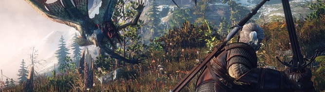 WITCHER_3_FLYING_CRAP.jpg