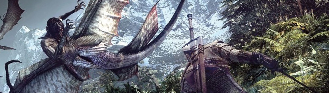 WITCHER_3_WH_DHFPD.jpg