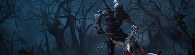 WITCHER_ART_GLDFJGLKDJK4096590643657896803407856346.jpg