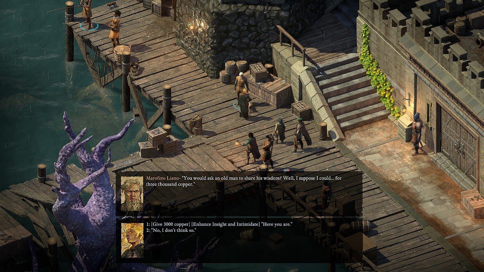 Pillars of eternity ii deadfire карта