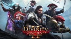 Divinity: Original Sin II — Definitive Edition