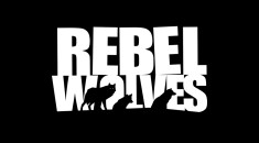 Студия геймдиректора The Witcher 3 Rebel Wolves получила финансирование от NetEase на RPGNuke