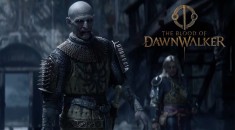 В The Blood of Dawnwalker можно будет убить даже важных NPC на RPGNuke