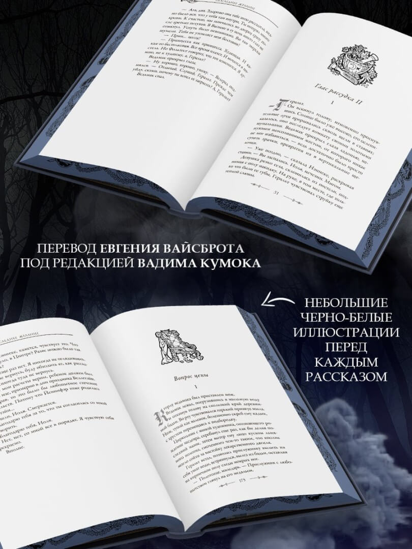 THE_WITCHER_4857490849345-810x1080.jpg